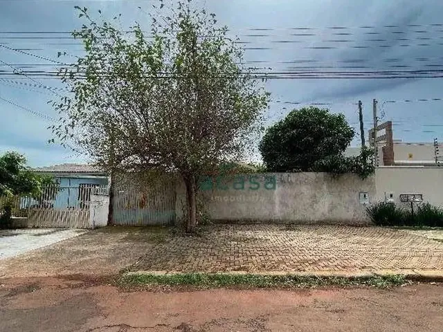Imagem 8: Terreno com Barracão (Construção no Final do Terreno