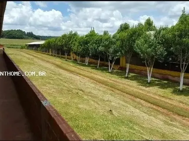 Imagem: Área Rural para Venda em Ouro Verde do