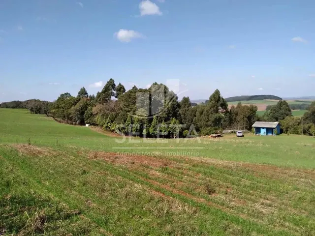 Imagem 6: Chácara À Venda, Centro, Ibema - Pr
