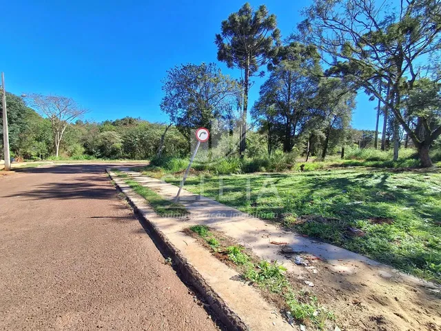 Imagem 3: Terreno no Bairro Belmonte em Cascavel Pr
