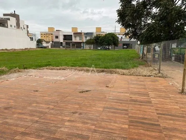 Imagem: Terreno para Locação no santa Cruz em