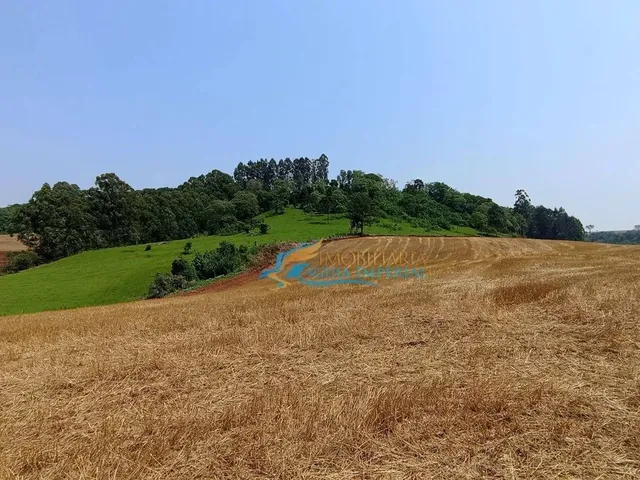 Imagem 4: Sítio À Venda, 447700 M² por R$ 8.500.000,00 - São João D&Amp;Apos;Oeste
