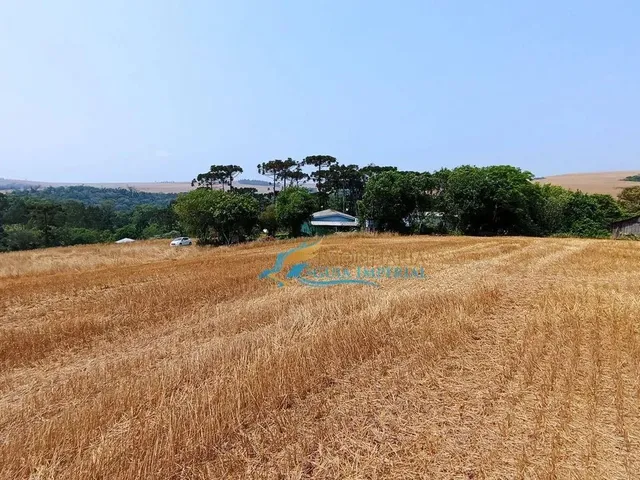 Imagem 10: Sítio À Venda, 447700 M² por R$ 8.500.000,00 - São João D&Amp;Apos;Oeste