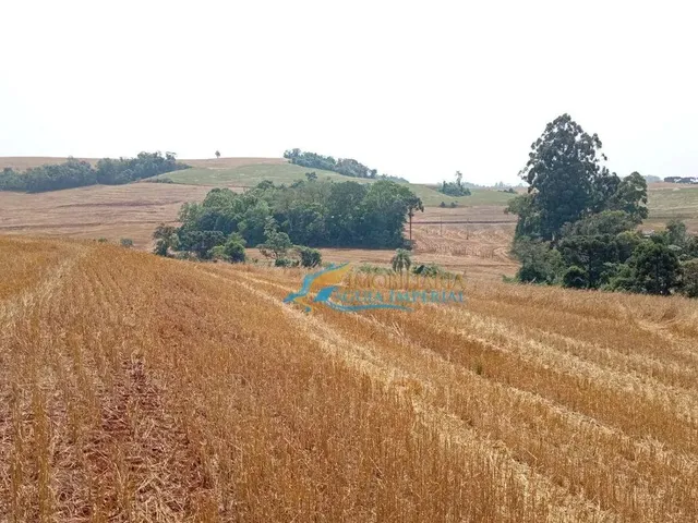 Imagem 6: Sítio À Venda, 447700 M² por R$ 8.500.000,00 - São João D&Amp;Apos;Oeste