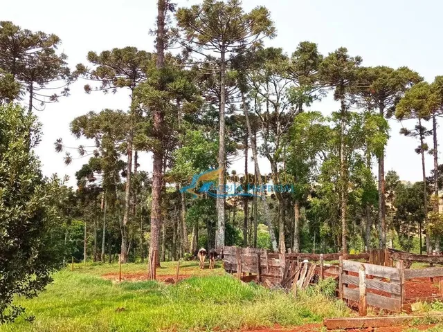 Imagem 12: Sítio À Venda, 447700 M² por R$ 8.500.000,00 - São João D&Amp;Apos;Oeste