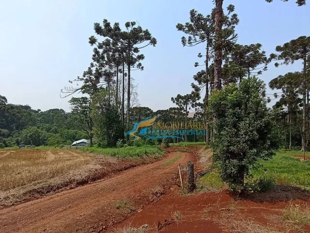 Imagem 2: Sítio À Venda, 447700 M² por R$ 8.500.000,00 - São João D&Amp;Apos;Oeste