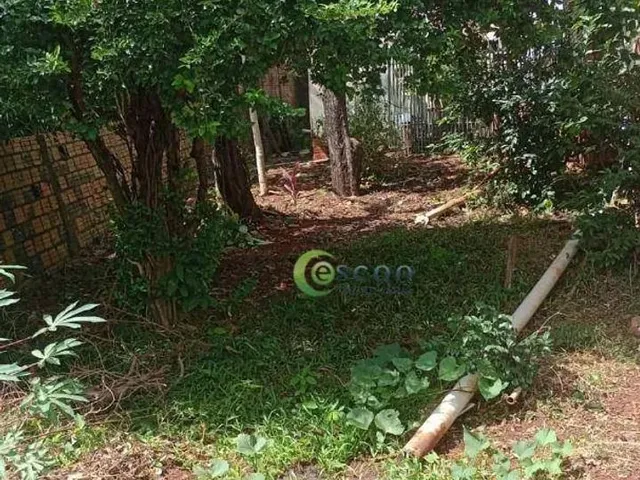 Imagem 5: Terreno À Venda, 600 M² por R$ 860.000,00 - Centro - Cascavel/Pr