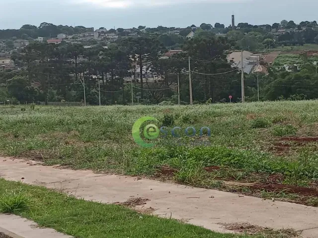 Imagem: Loteamento Recanto dos Passaros