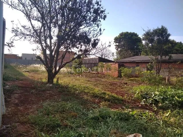 Imagem: Terreno para Locação no Santo Onofre em
