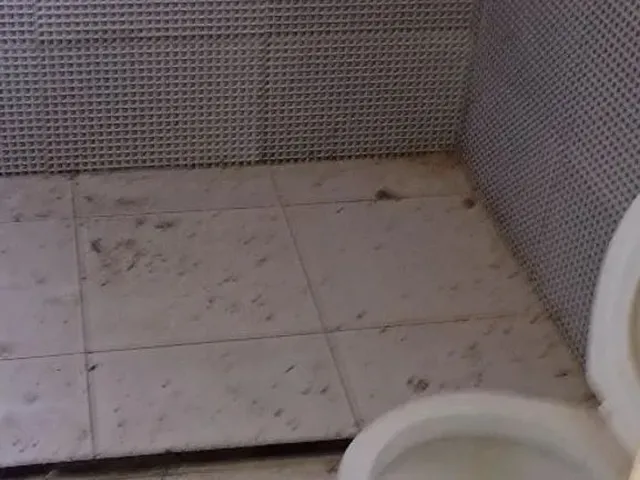 Imagem: Casa pra Alugar