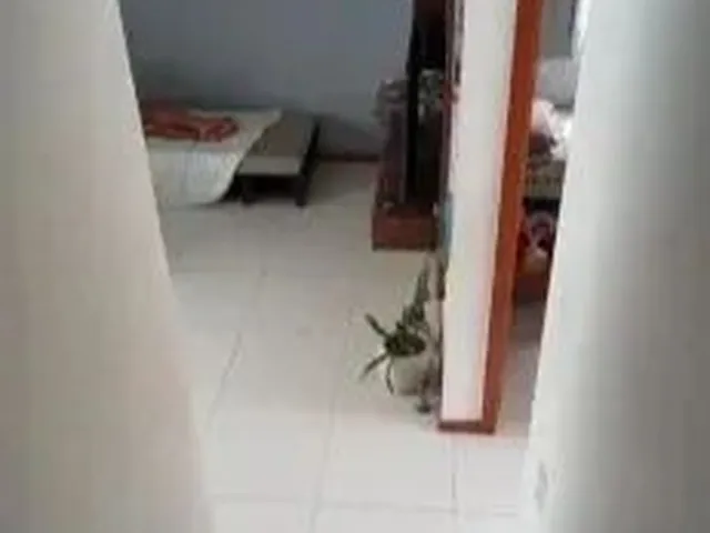 Imagem 6: Linda Casa 4 Suítes em Abrantes