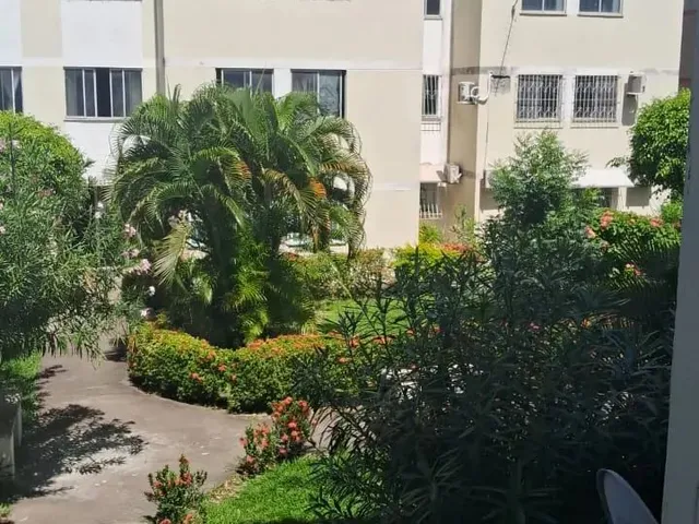 Imagem: Apartamento para Alugar em Centro de Lauro