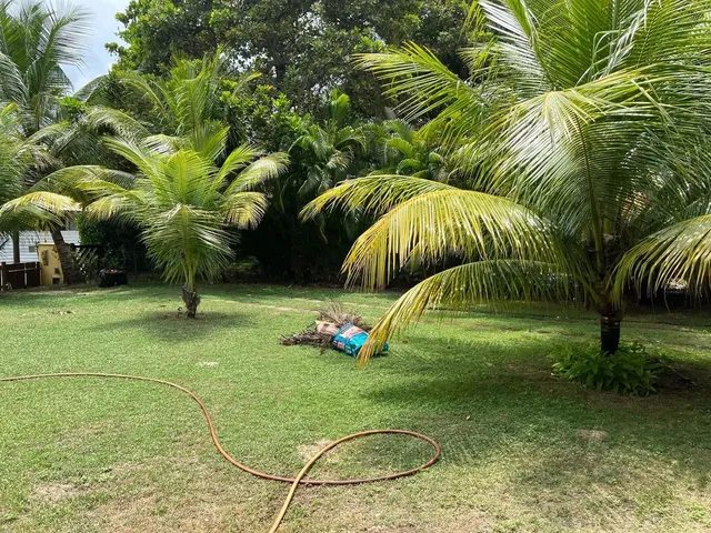Imagem 8: Excelente Casa para Aluguel em Busca Vida