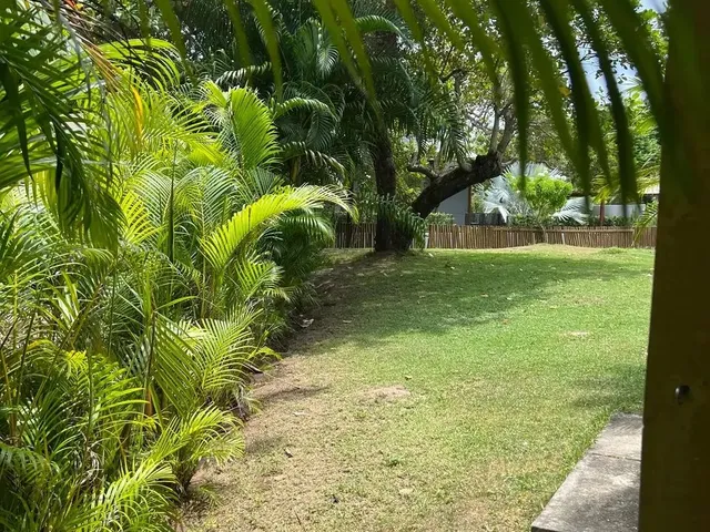 Imagem 16: Excelente Casa para Aluguel em Busca Vida