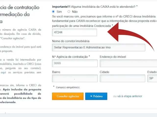 Imagem 5: .