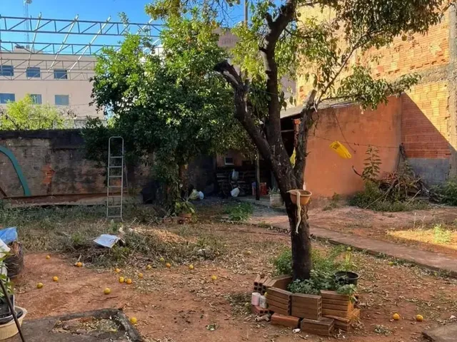 Imagem: Casa À Venda em Maracanã com 300M², 3