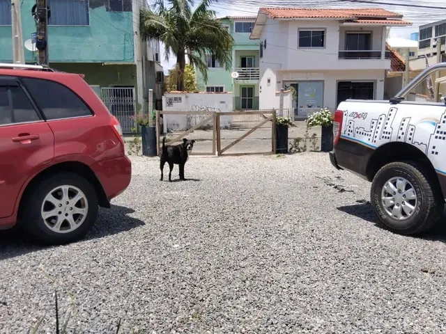 Imagem 8: Casa Diária pra Até 10 Pessoas, Ingleses !