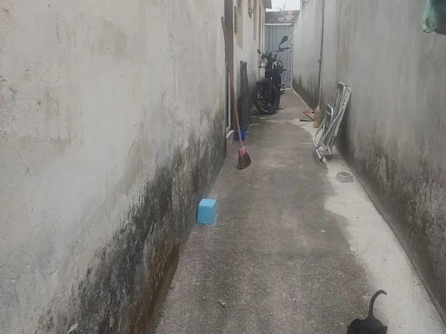 Imagem 8: Vendo Casa na Ajuda de Cima Macaé