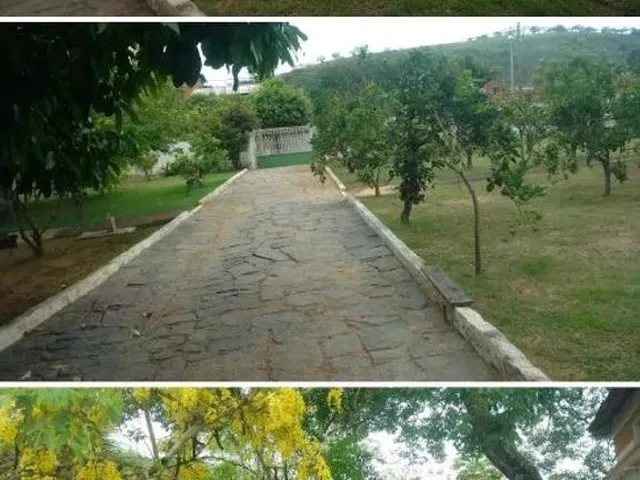 Imagem 2: Chácara de 16.000M² em Cambuci-Rj