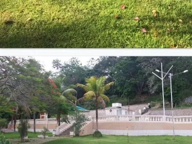 Imagem 5: Chácara de 16.000M² em Cambuci-Rj