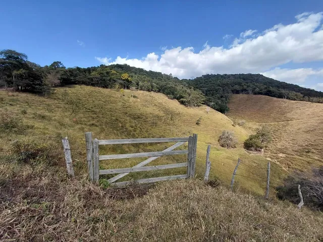 Imagem 3: Ótimo Terreno 8 Hectares