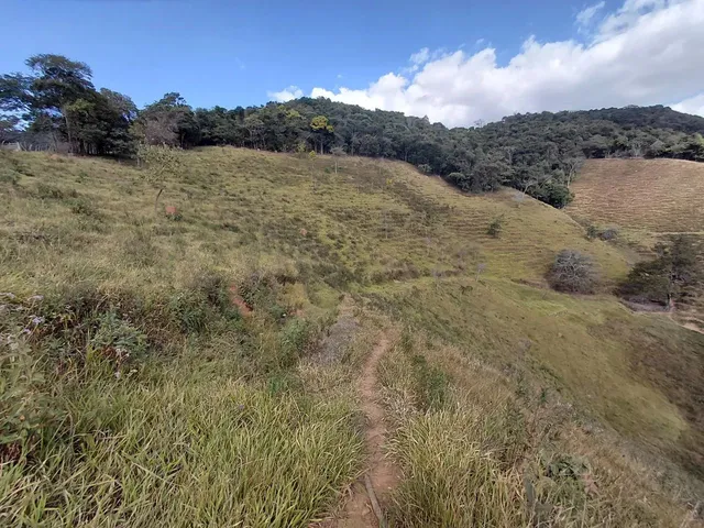 Imagem 5: Ótimo Terreno 8 Hectares