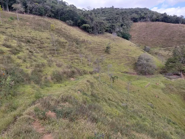Imagem 8: Ótimo Terreno 8 Hectares