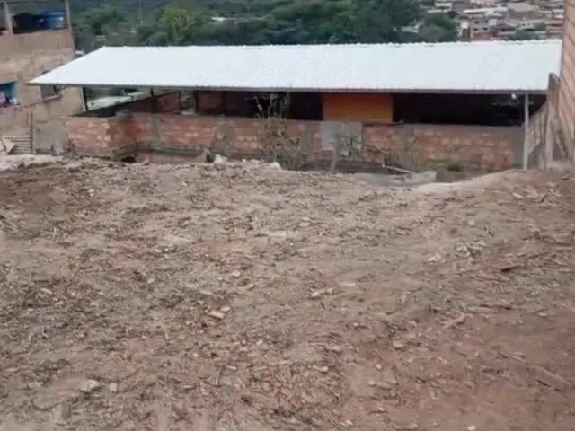 Imagem 5: .