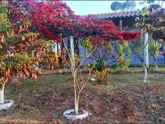 Imagem 9: Linda Chácara em Acuruí Mg - 500M2
