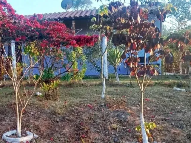 Imagem 10: Linda Chácara em Acuruí Mg - 500M2
