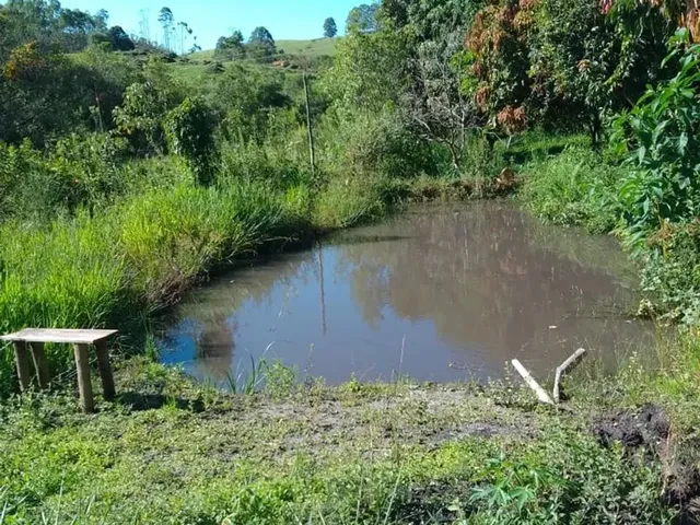 Imagem: Sítio em Desterro de Entre Rios - Mg