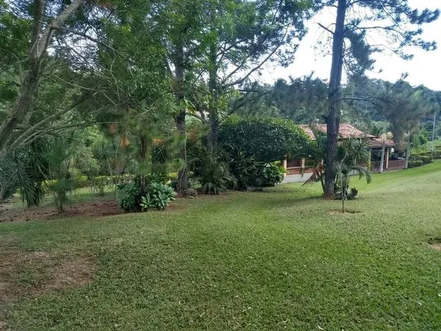 Imagem 8: Lindo Sítio em Bonfim Povoado de Guedes com Excelente Localização