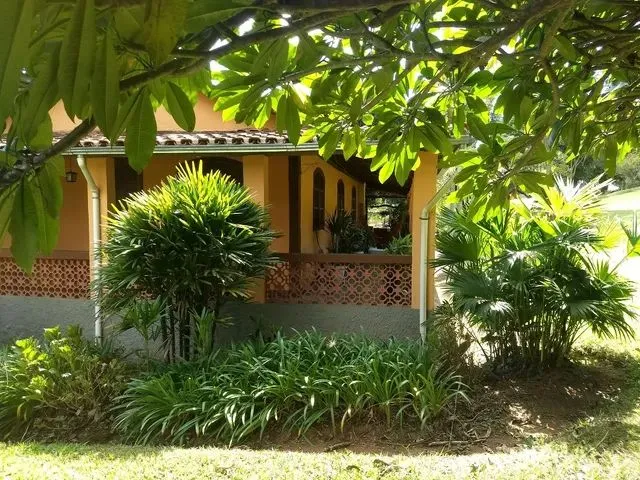 Imagem 14: Lindo Sítio em Bonfim Povoado de Guedes com Excelente Localização