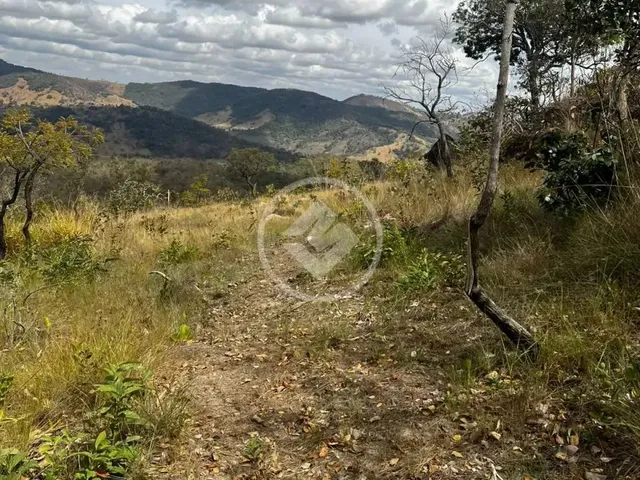 Imagem: Terreno À Venda Codigo 141831
