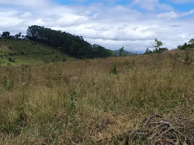 Imagem 3: Chácara no Rancho Novo