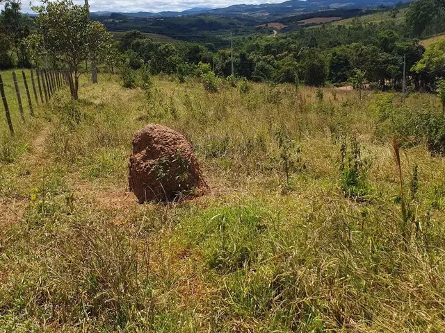 Imagem 5: Chácara no Rancho Novo