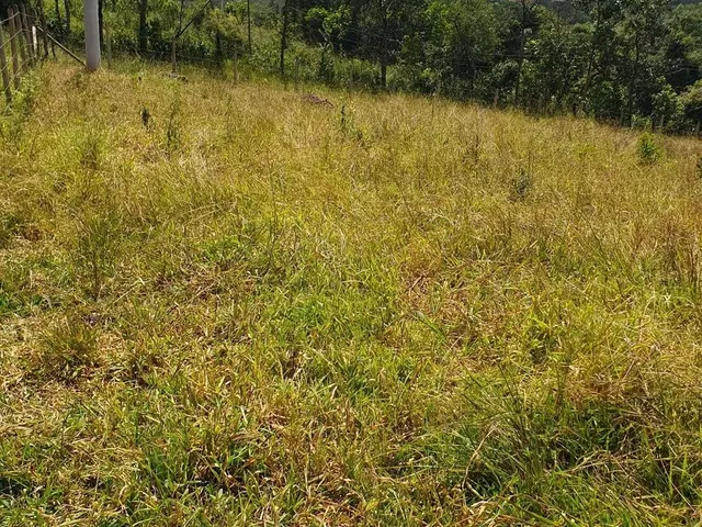 Imagem 6: Chácara no Rancho Novo