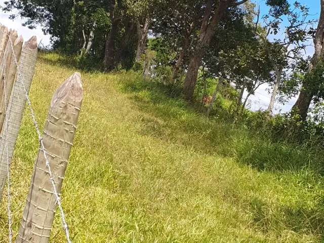Imagem 9: Chácara no Rancho Novo
