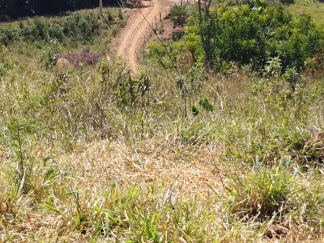 Imagem 13: Chácara no Rancho Novo