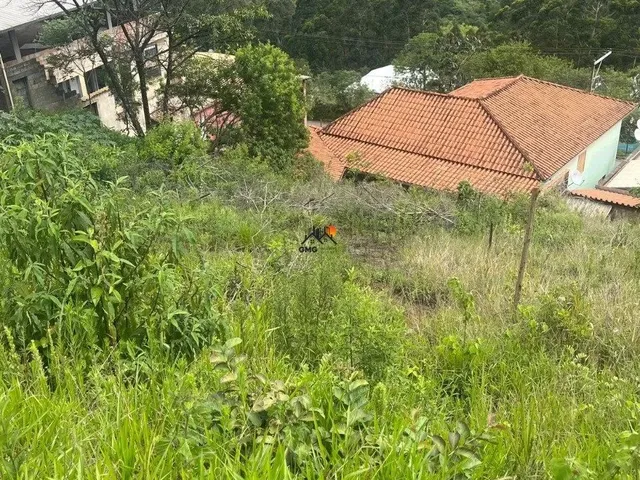 Imagem 3: Lote Bairro Liberdade 364,80 M²