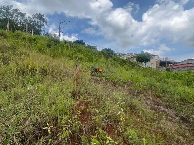 Imagem 6: Lote Bairro Liberdade 364,80 M²