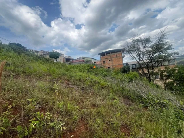 Imagem 12: Lote Bairro Liberdade 364,80 M²