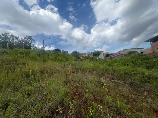 Imagem 2: Lote Bairro Liberdade 364,80 M²