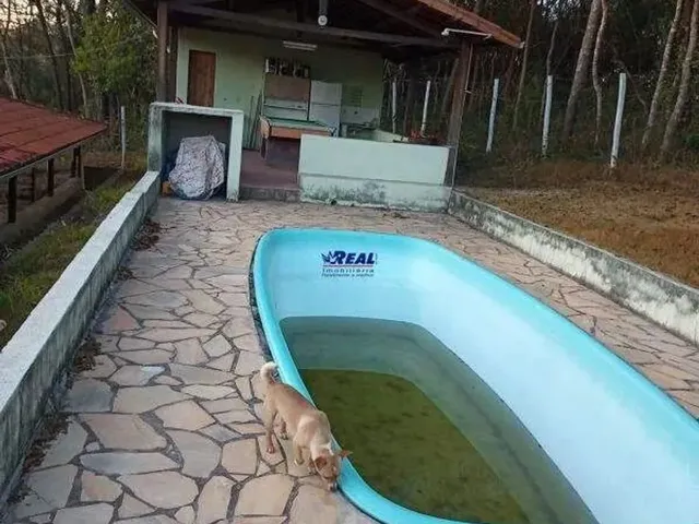 Imagem: Sitio À Venda, 3 Quartos, 1 Suíte, 10