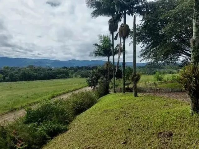 Imagem: Sítio Bairro Linha Brasil, Nova Petrópolis.rs