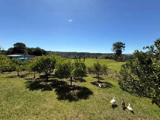Imagem 10: Sítio Bairro Vila Germânia Nova Petrópolis, Rs Ref: 431