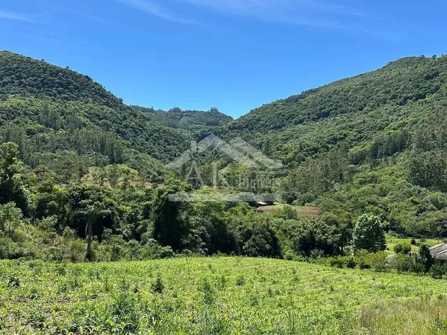 Imagem 2: Sítio com Casa de 3 Quartos À Venda em Picada Café na Serra Gaúcha
