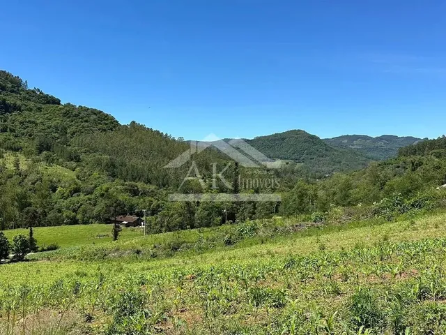 Imagem 6: Sítio com Casa de 3 Quartos À Venda em Picada Café na Serra Gaúcha