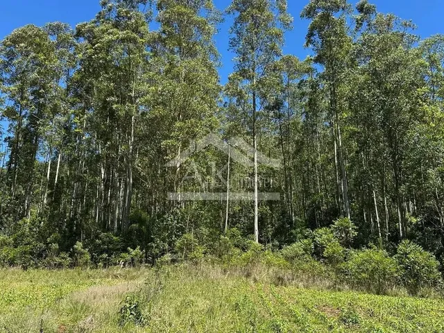 Imagem 4: Sítio com Casa de 3 Quartos À Venda em Picada Café na Serra Gaúcha