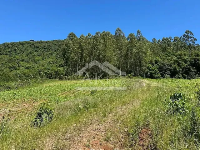 Imagem 12: Sítio com Casa de 3 Quartos À Venda em Picada Café na Serra Gaúcha